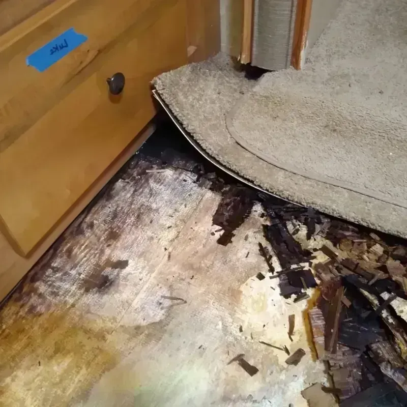 Best Wood Floor Water Damage Service in Adams County, NE